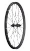 Specialized Roval Control SL 29 Center Lock Micro Spline - Hinterrad Satin Carbon/Satin Black 29 