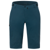 Giro M Havoc Short 36 harbor blue Herren