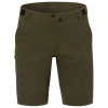 Giro M Ride Short 30 trail green Herren