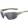 ALPINA Sports LYRON HR cool-grey matt