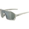 ALPINA Sports BONFIRE cool-grey matt Q-LITE silver